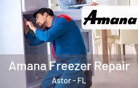  Amana Freezer Repair Astor - FL
