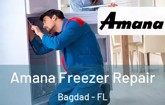  Amana Freezer Repair Bagdad - FL