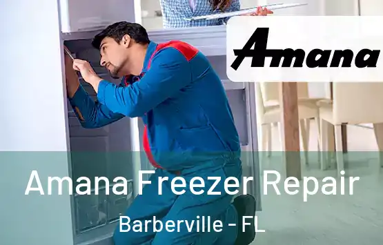  Amana Freezer Repair Barberville - FL