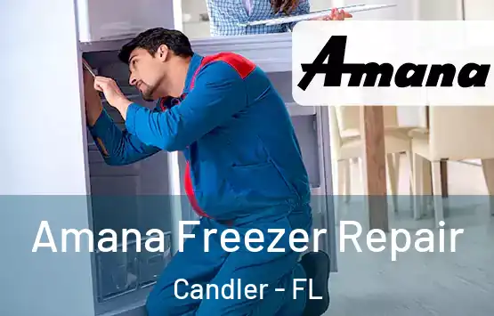  Amana Freezer Repair Candler - FL