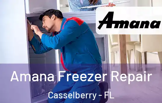  Amana Freezer Repair Casselberry - FL