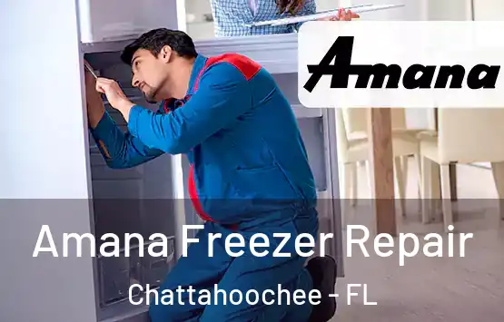 Amana Freezer Repair Chattahoochee - FL