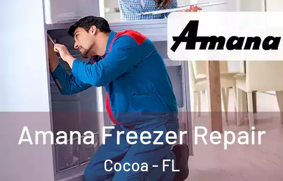  Amana Freezer Repair Cocoa - FL