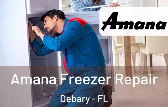  Amana Freezer Repair Debary - FL