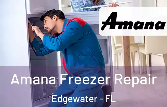  Amana Freezer Repair Edgewater - FL