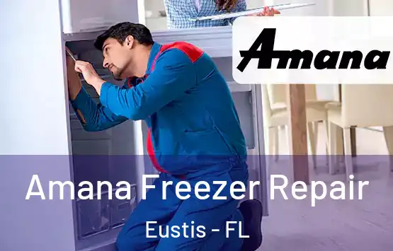  Amana Freezer Repair Eustis - FL