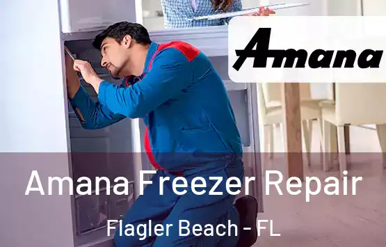  Amana Freezer Repair Flagler Beach - FL
