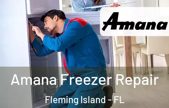  Amana Freezer Repair Fleming Island - FL