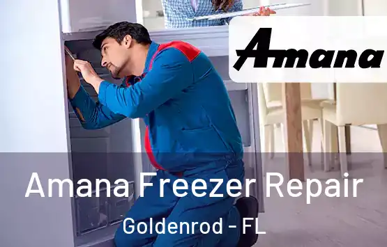  Amana Freezer Repair Goldenrod - FL