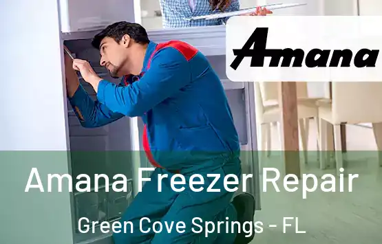  Amana Freezer Repair Green Cove Springs - FL