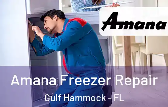  Amana Freezer Repair Gulf Hammock - FL