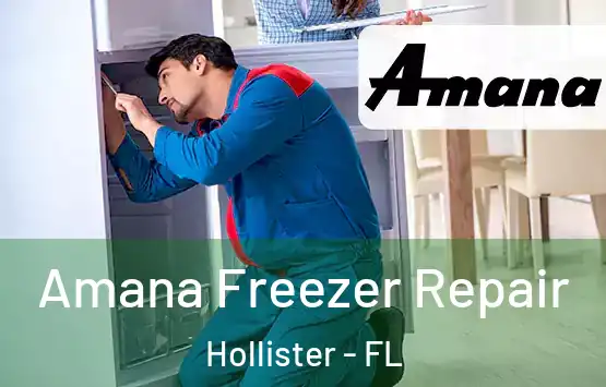  Amana Freezer Repair Hollister - FL
