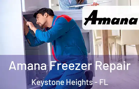  Amana Freezer Repair Keystone Heights - FL