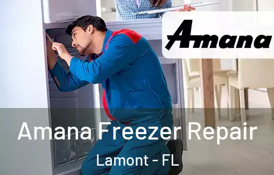  Amana Freezer Repair Lamont - FL