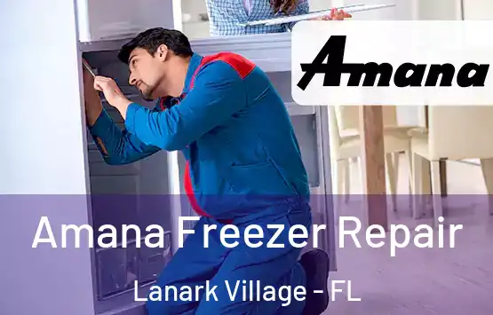 Amana Freezer Repair Lanark Village - FL