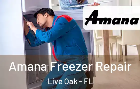  Amana Freezer Repair Live Oak - FL