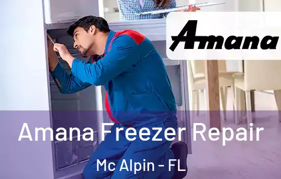  Amana Freezer Repair Mc Alpin - FL