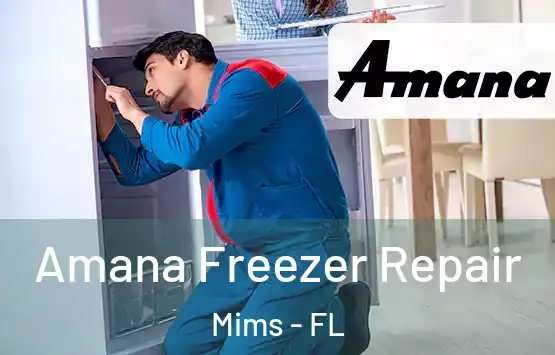  Amana Freezer Repair Mims - FL
