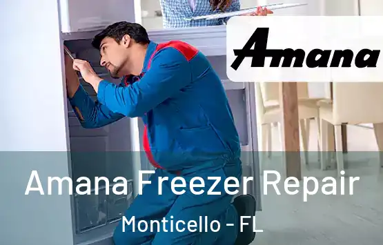  Amana Freezer Repair Monticello - FL
