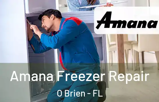  Amana Freezer Repair O Brien - FL
