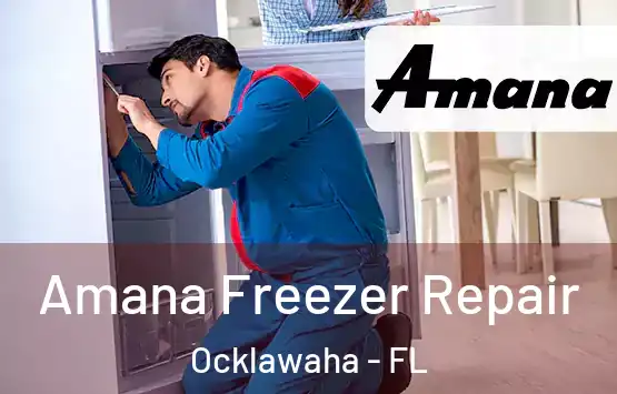  Amana Freezer Repair Ocklawaha - FL