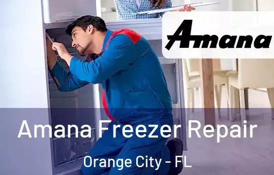  Amana Freezer Repair Orange City - FL