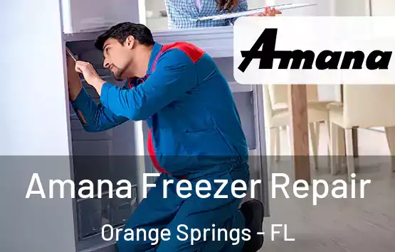  Amana Freezer Repair Orange Springs - FL