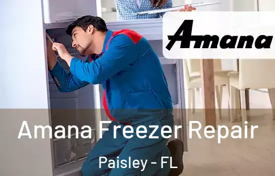  Amana Freezer Repair Paisley - FL