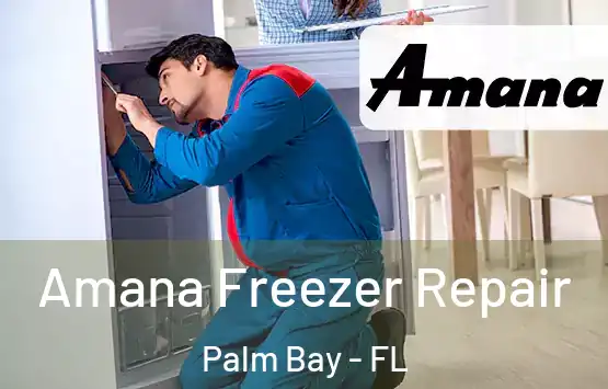  Amana Freezer Repair Palm Bay - FL