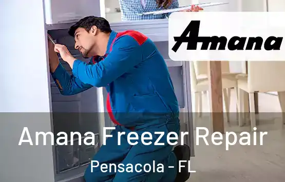  Amana Freezer Repair Pensacola - FL