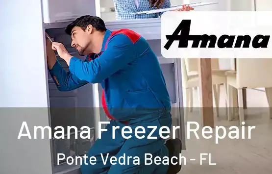  Amana Freezer Repair Ponte Vedra Beach - FL