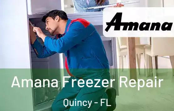  Amana Freezer Repair Quincy - FL