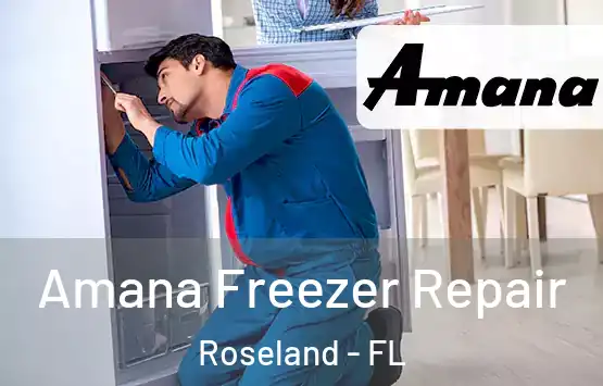 Amana Freezer Repair Roseland - FL