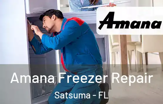  Amana Freezer Repair Satsuma - FL