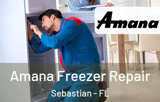  Amana Freezer Repair Sebastian - FL