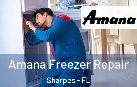  Amana Freezer Repair Sharpes - FL