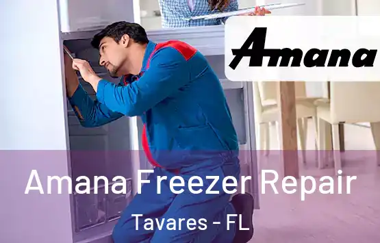  Amana Freezer Repair Tavares - FL