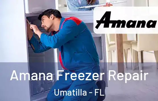  Amana Freezer Repair Umatilla - FL