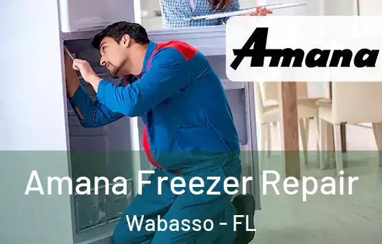  Amana Freezer Repair Wabasso - FL
