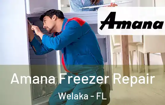  Amana Freezer Repair Welaka - FL