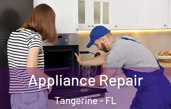  Appliance Repair Tangerine - FL