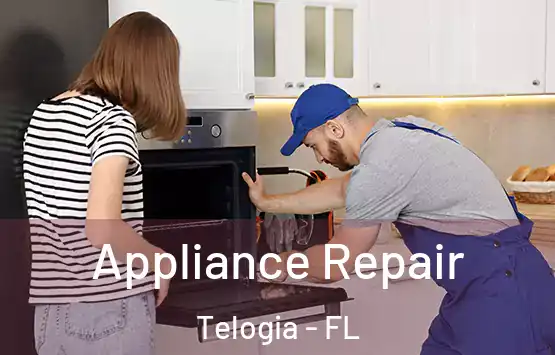  Appliance Repair Telogia - FL