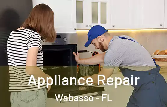  Appliance Repair Wabasso - FL