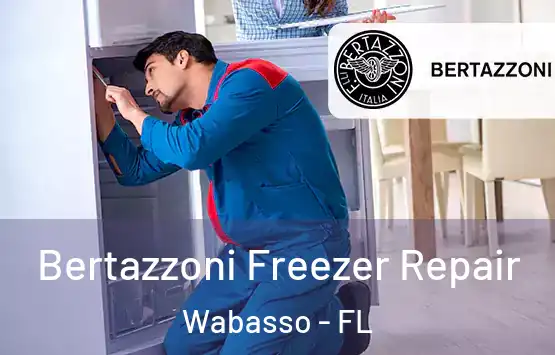  Bertazzoni Freezer Repair Wabasso - FL
