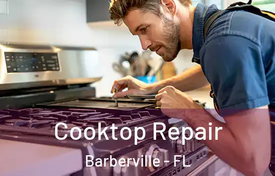 Cooktop Repair Barberville - FL