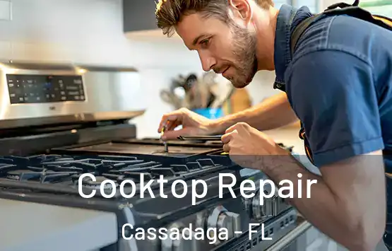  Cooktop Repair Cassadaga - FL