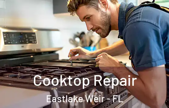  Cooktop Repair Eastlake Weir - FL