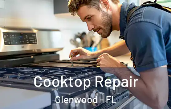  Cooktop Repair Glenwood - FL