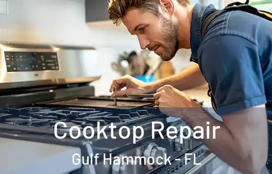  Cooktop Repair Gulf Hammock - FL