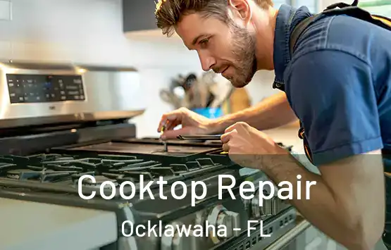  Cooktop Repair Ocklawaha - FL